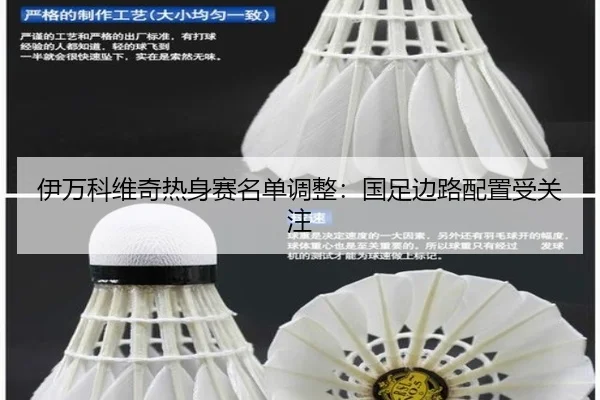 伊万科维奇热身赛名单调整：国足边路配置受关注
